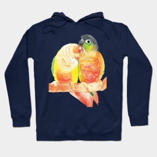 green cheeked conure lover watercolor Hoodie